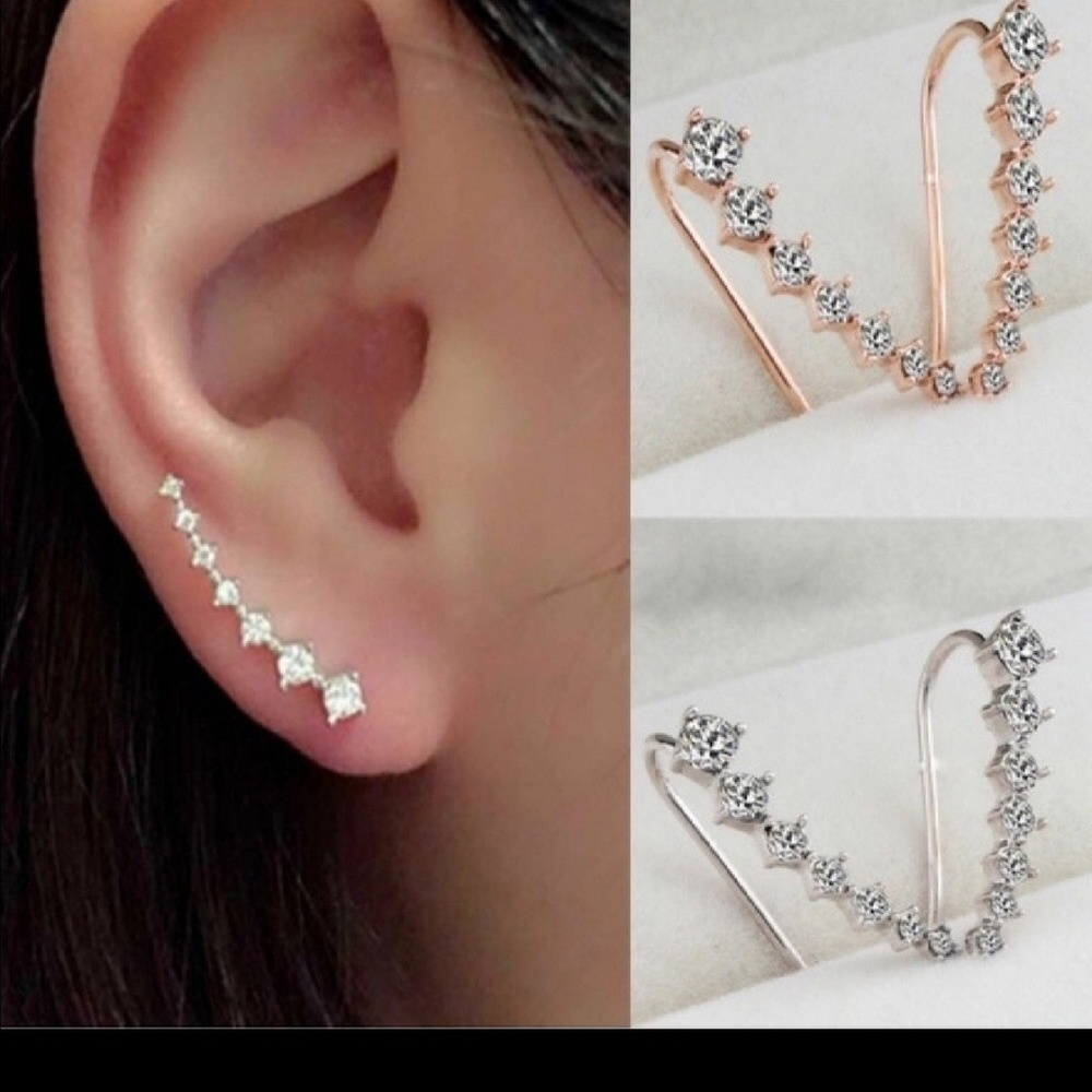 🌺✨✨ Beautiful Crawler Earrings!✨✨🌺